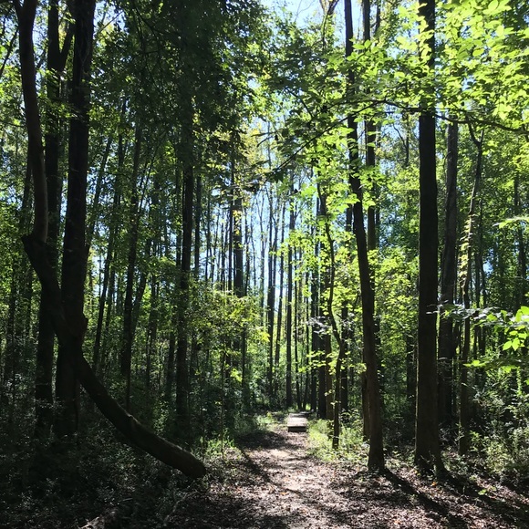 Meet your Posher, Emily - Picture 1 of 1